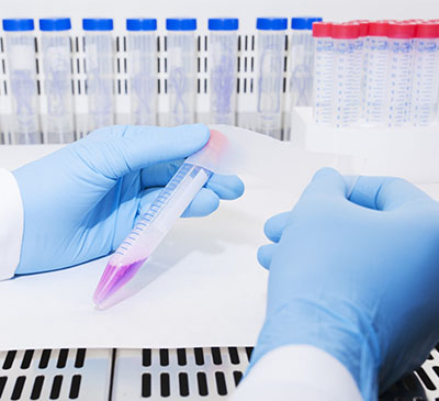 Pharmaceutical Processing Seals Market by Type and Geography - Global Forecast 2019-2023